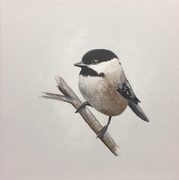 Chickadee dee dee SOLD