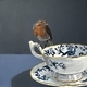 Coalport Cairo Robin SOLD