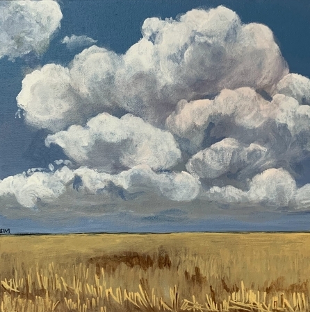 Saskatchewan Field SOLD